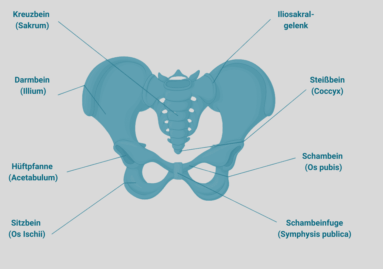 Beckenfehlstellung, Beckenschiefstand und Beckeninstabilität in Hamburg behandeln lassen – Chiropraktiker Felix hilft!