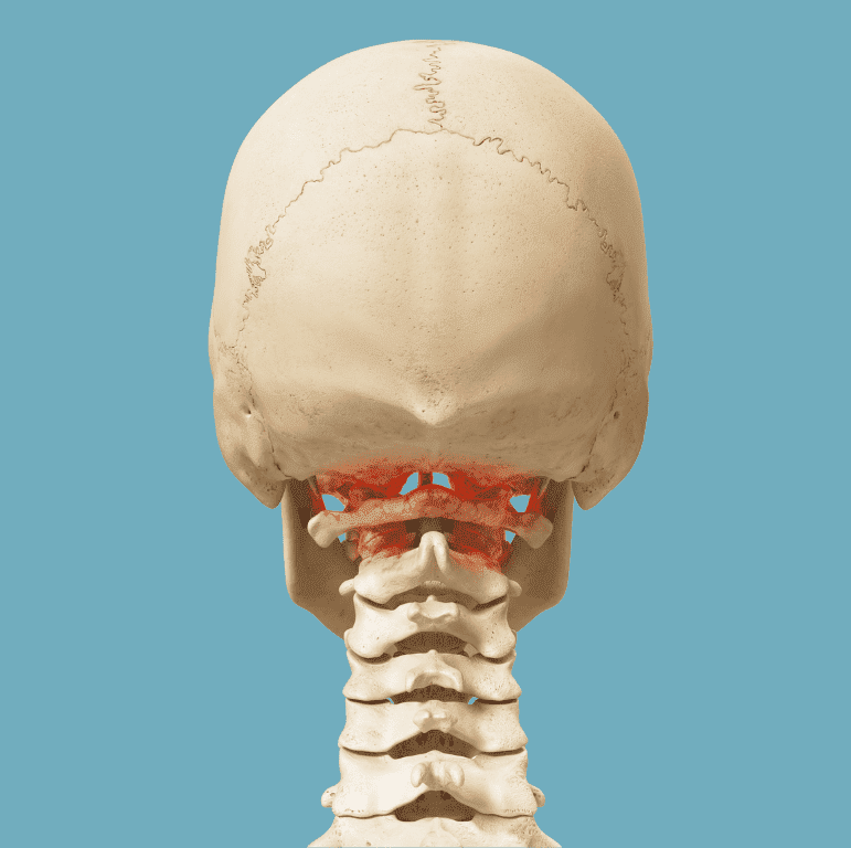 Beschwerden am Atlaswirbel in Felix' Chiropraxis