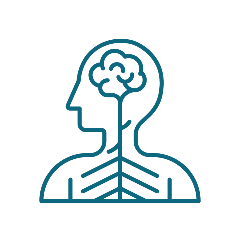 Das zentrale Nervensystem und die Chiropraktik
